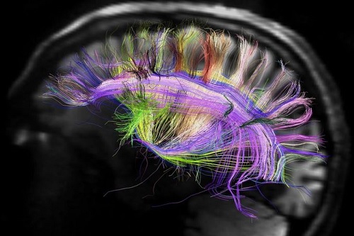 Eye Movment Desensitization and Reprocessing